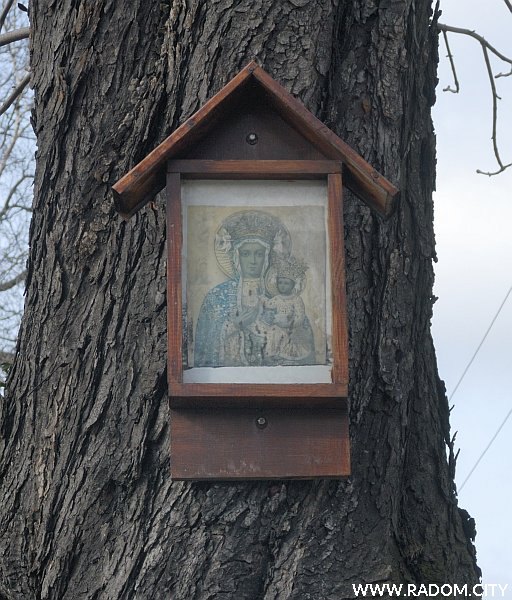 Radom. Kapliczka na drzewie przy ul. Malczewskiego.