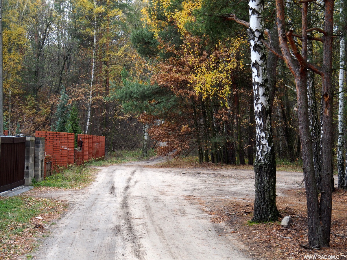 Radom. Ulica Sygietyńskiego od strony ul. Szymanowskiego.