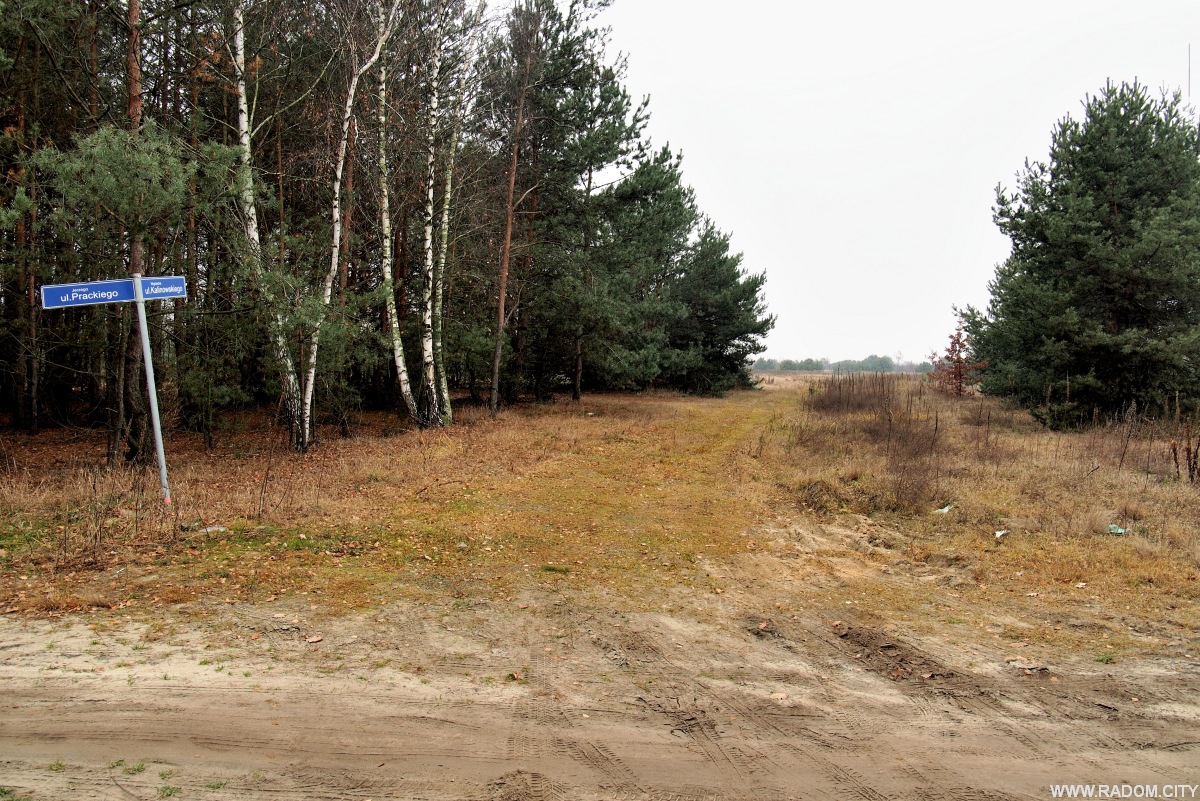 Radom. Ulica W. Kalinowskiego z ul. Prackiego.