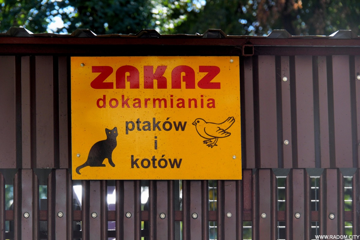 Radom. Zakaz dokarmiania - ul. Planty.