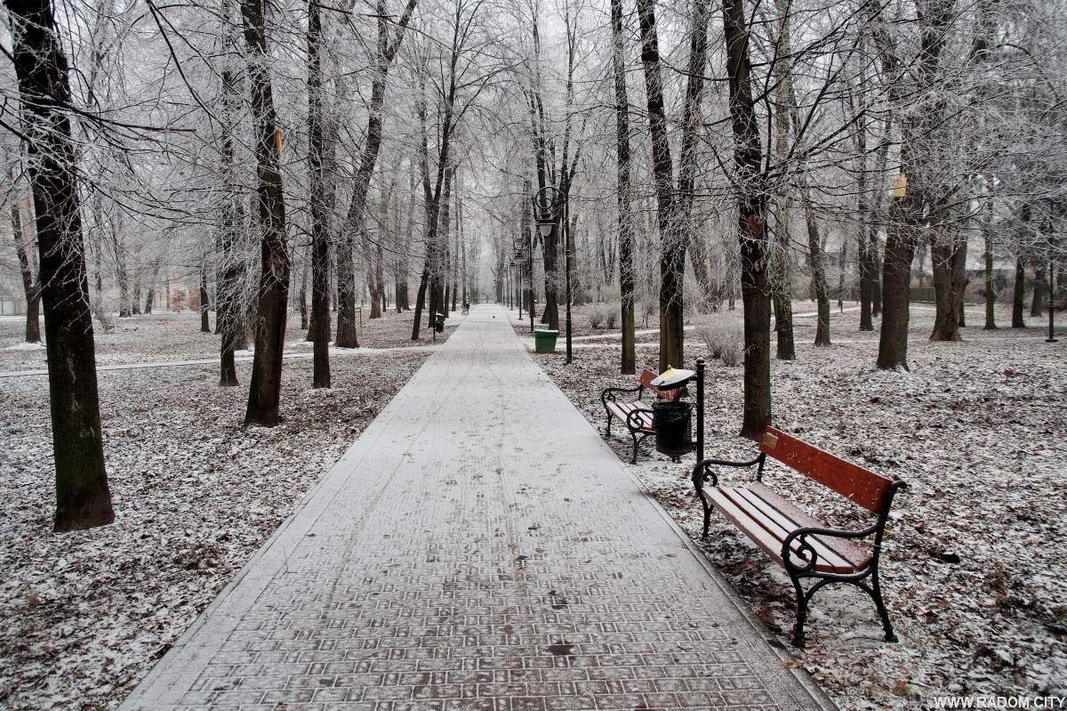 Radom. Ławka literacka - Leśniczówka/Kolberga.