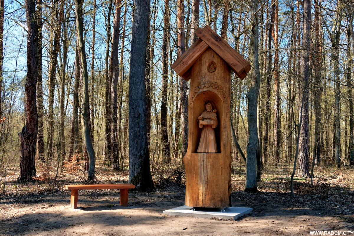 Radom. Św. Franciszek w Lesie Kapturskim.