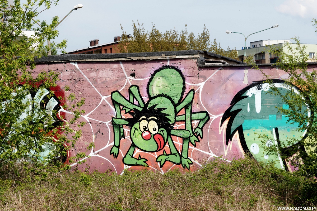 Radom. Graffiti - garaże przy Olsztyńskiej.