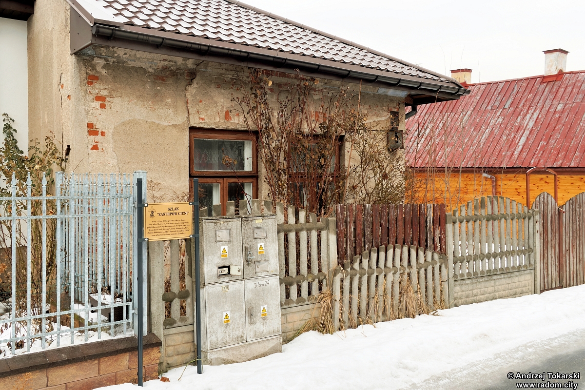 Radom. "Pink Bot" przy Traugutta.